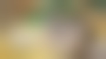 Nosler Reloading Tutorial with Randy Newberg - Brass Selection (Part 5)