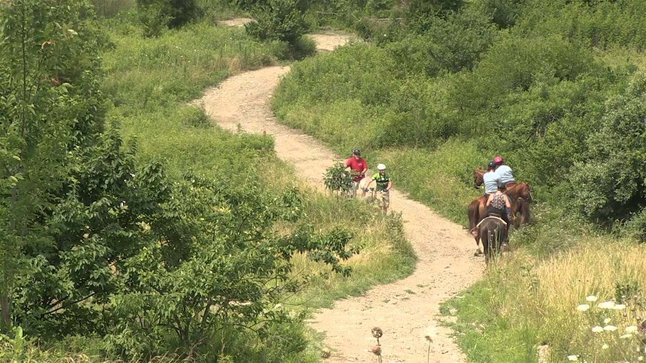 horseshoe bend Meeting Horses while on your Mountain Bike | Indiana DNR