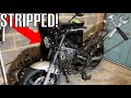 My DREAM Bike Build Part 1 - The Strip Down (Kawasaki ER5)