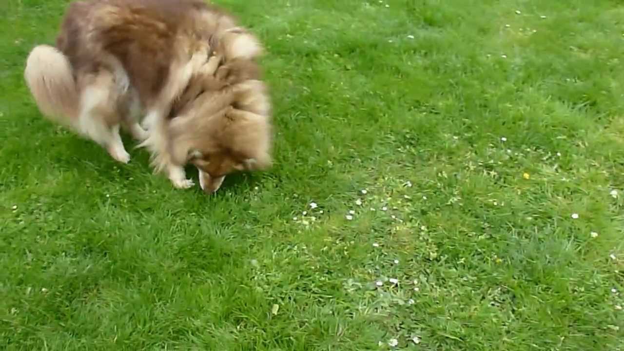 Joyeux Anniversaire 14 Ans