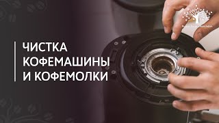 Как чистить кофемашину и кофемолку