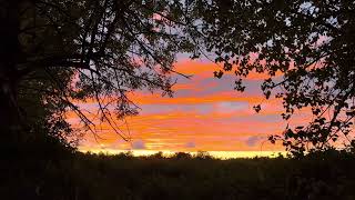 Nice Sunset by Medium Effort  3 views 5 days ago 32 seconds