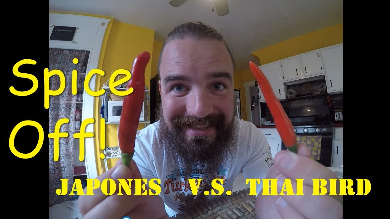 JAPONES PEPPER v. THAI BIRD CHILI YouTube