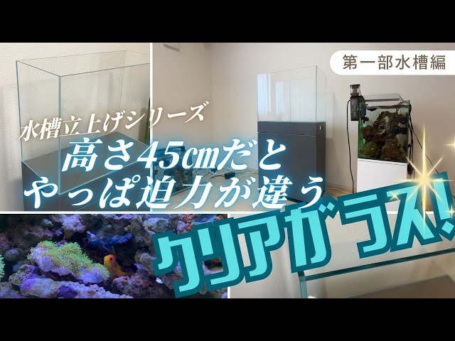 Aquarium] Aquarium Tank Setup Series / The price is not just for