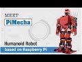 PiMecha - Humanoid Robot on Raspberry Pi