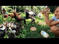 【動物いっぱい】フィリピンNo.1スイーツ、マハブランカをジャングルで作る【ジャングルクッキング】【日本語字幕】