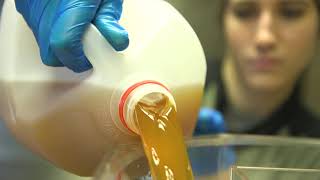 A Day In The Life Working In A Dining Hall