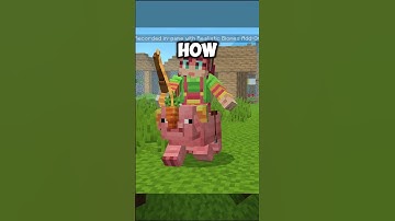 MORE Action And Stuff 1.6 UPDATE!  #minecraft