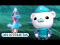 Los Octonautas Oficial En Español - Salvando los Caballitos de Mar