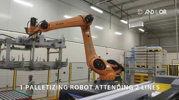 High speed baggers  + Palletizing robot