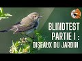 Blindtest  reconnatre les chants doiseaux du jardin un nouvelle faon dapprendre la nature