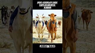 NYAMAR JADI SAPI RAJU