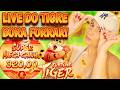 🌟 JOGO DO TIGRINHO AO VIVO, PLATAFORMA NOVA, LIVE FORTUNE TIGER AO VIVO, LIVE TIGRINHO ESTRATEGIA HD