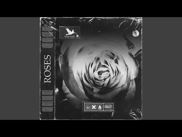 Various Artists - Roses Today