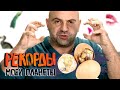 Самая дорогая и отвратительная еда. Рекорды Моей Планеты с Тимофеем Баженовым @Моя Планета