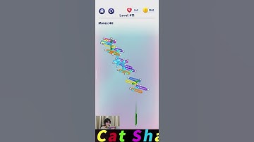 Pin Out Master Level 411