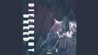 Never Right Interlude - DC
