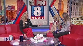 Stefani falls in love with Cleveland Clinic Children's new therapy dog