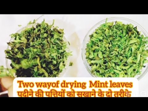 Homemade Mint Powder||घर का बना पुदीना पाउडर ||store mint||ਘਰੇਲੂ ਉਪਜਾ ਪੁਦੀਨਾ ਪਾਡਰ