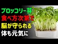 生だけじゃない?ブロッコリースプラウトの栄養を活かす食べ方|食事から始めるデトックス習慣