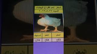 اسعار الفراخ البيضاء السبت 27-5-2023