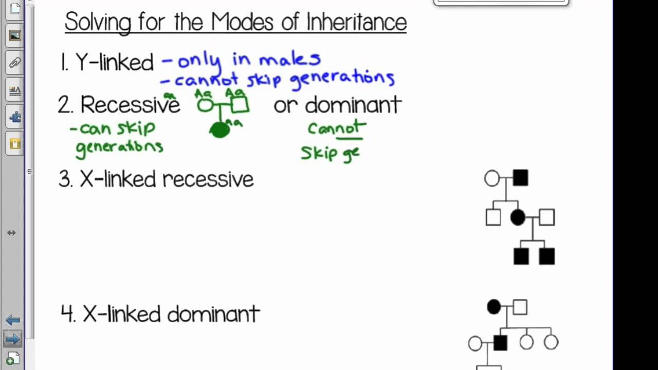 write a hypothesis that describes the mode of inheritance