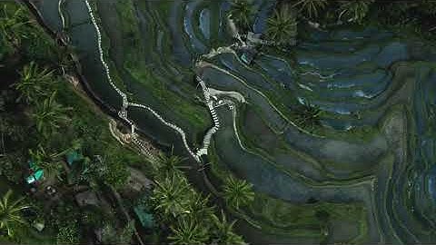 #5 Luyện nghe thụ động Tiếng Đức khi ngủ cho người mới bắt đầu - Kinh nghiệm Tự học tiếng đức