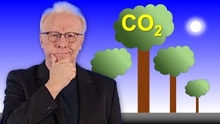 Wie viel CO2 passt noch in die WÄLDER? (Landsenke) | #83. Energie und Klima