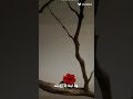 اللهم يا . . ..   .......   ...