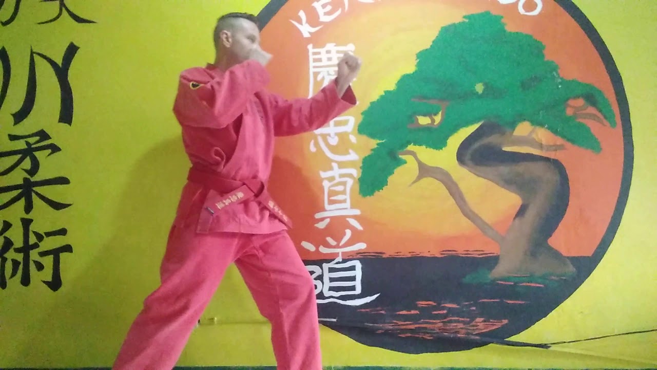Karate kicks 6 Cross stepping side kick, Kosa Yokogeri. Axe kick