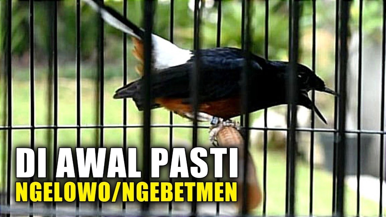 ВНАЧАЛЕ ОНО ТОЧНО БУДЕТ НИЗКИМ‼️после этого поиграйтесь с давлением выгрузки материала