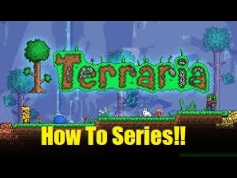 Dead Man's Chest - Terraria Wiki