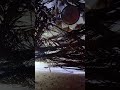 ارتجي منك حنانك وانت ماعندك حنان 
