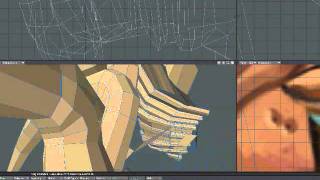 Modeling Bug Body-Time Lapse