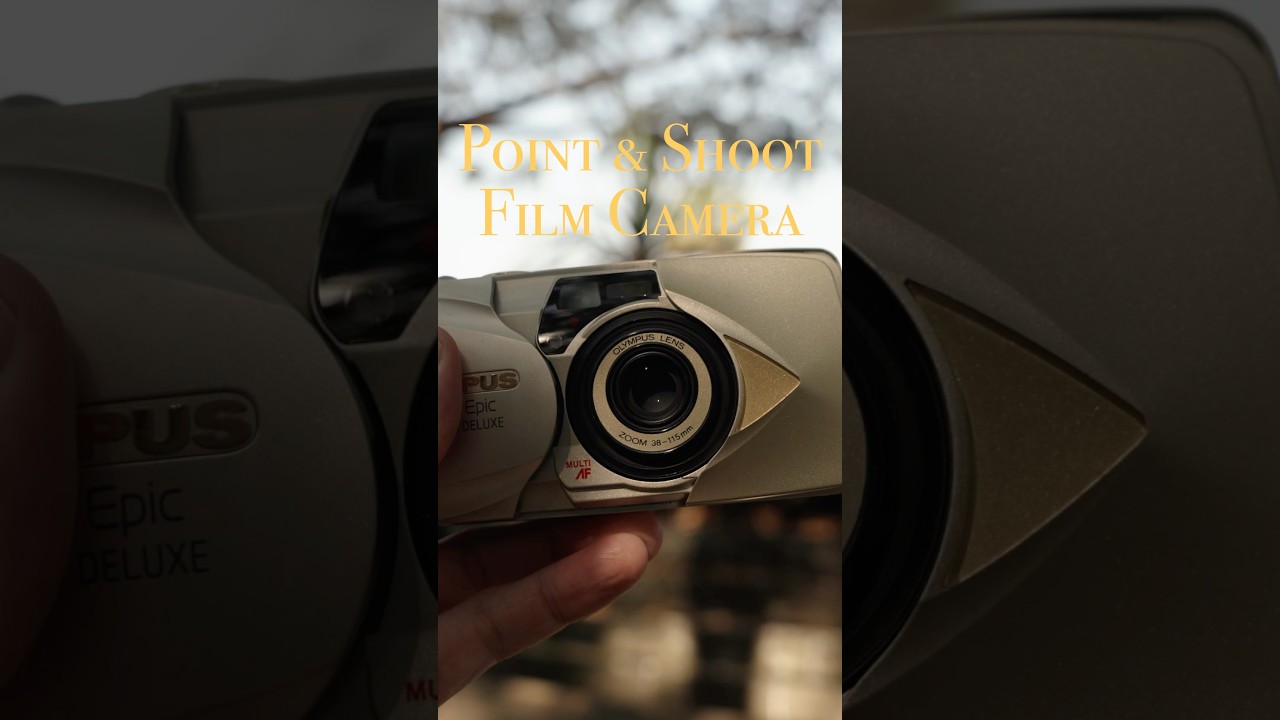 Olympus Stylus Point and Shoot Film Photography with Kodak Gold 