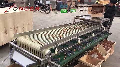 Strawberry Sorting Machine|Fruit Sorting Machine Manufacturers