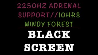 Windy Forest//2250Hz Adrenal Support//BLACK SCREEN