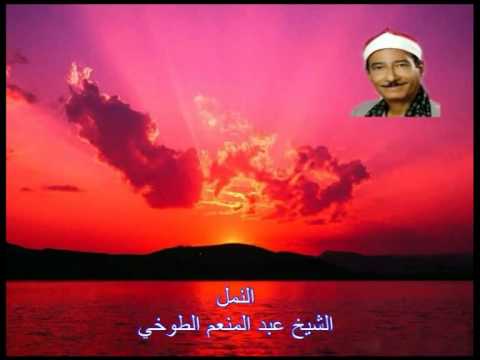 الشيخ عبد المنعم الطوخي النمل