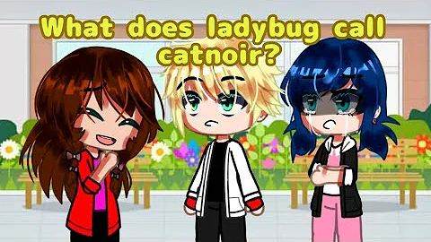 What does ladybug call catnoir? meme | gacha club mlb