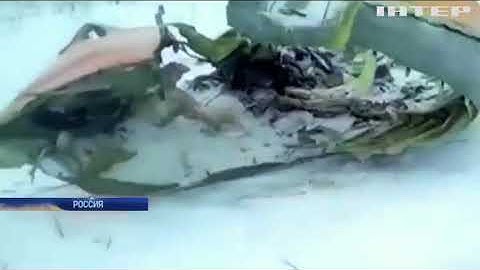 Авиакатастрофа в Подмосковье: что стало причиной крушения "Ан-148"
