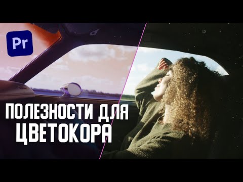 А ты ПРАВИЛЬНО делаешь ЦВЕТОКОР? Настройка монитора. Работа с WAVEFORM и VECTORSCOPES.