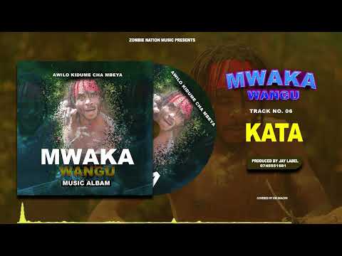 Awilo Kidume Cha Mbeya KATA Official Music Video Business No 255 745551681