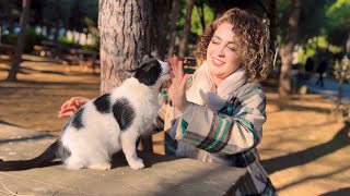 Starving Stray Kittens Feeding Mission 4k