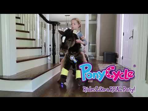 PonyCycle, Best gift and friends to your kids!