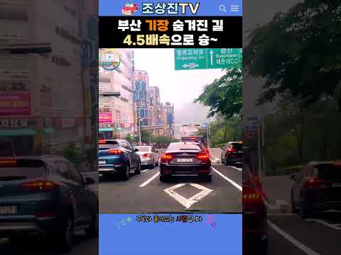 부산 기장 숨겨진 길 4.5배속으로 슝💨 #부산 #기장 #드라이브