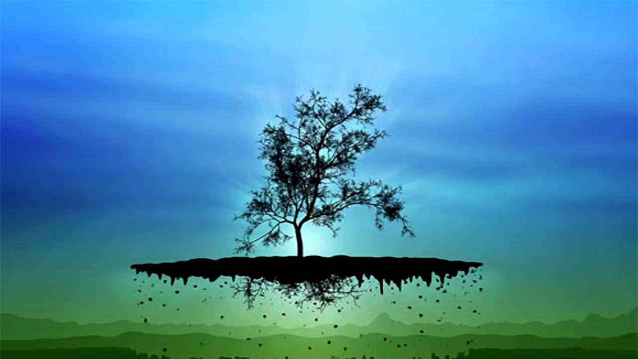 Update #7 | 250 Subscribers, LP #3 & #4, Project Graffiti, Twitter Whoring, Bottle Poppin'