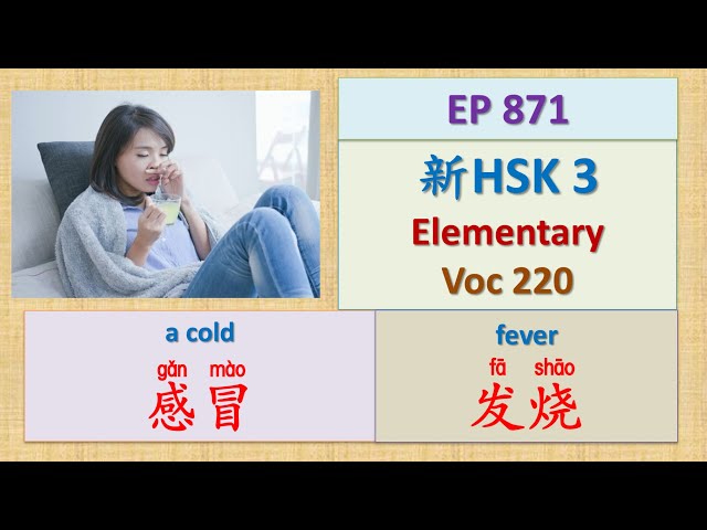 [EP 871] New HSK 3 Voc 220 (Elementary): 感冒、发烧、打噴嚏 || 新汉语水平(3.0)-初级词汇3 || Join My Daily Live