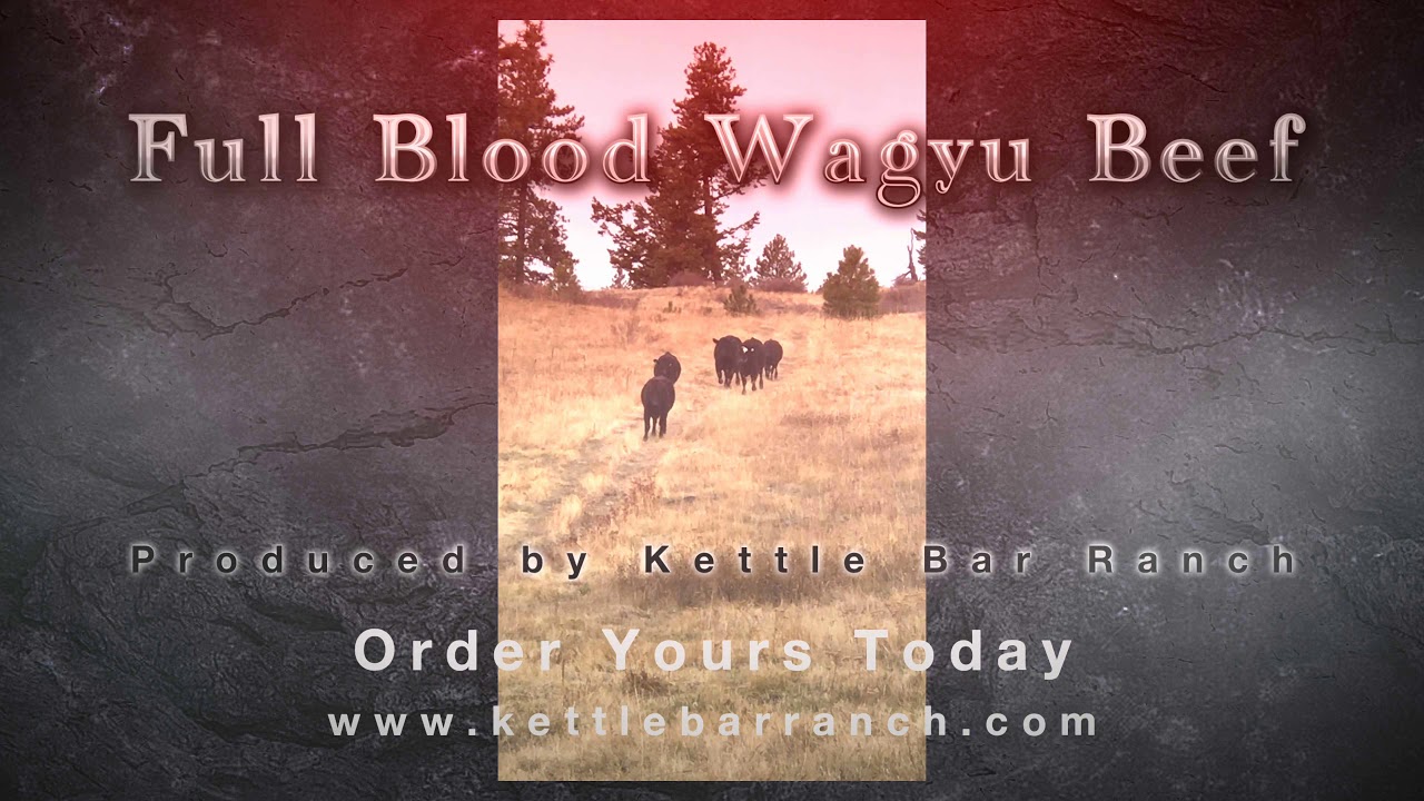 Kettle Bar Ranch YouTube