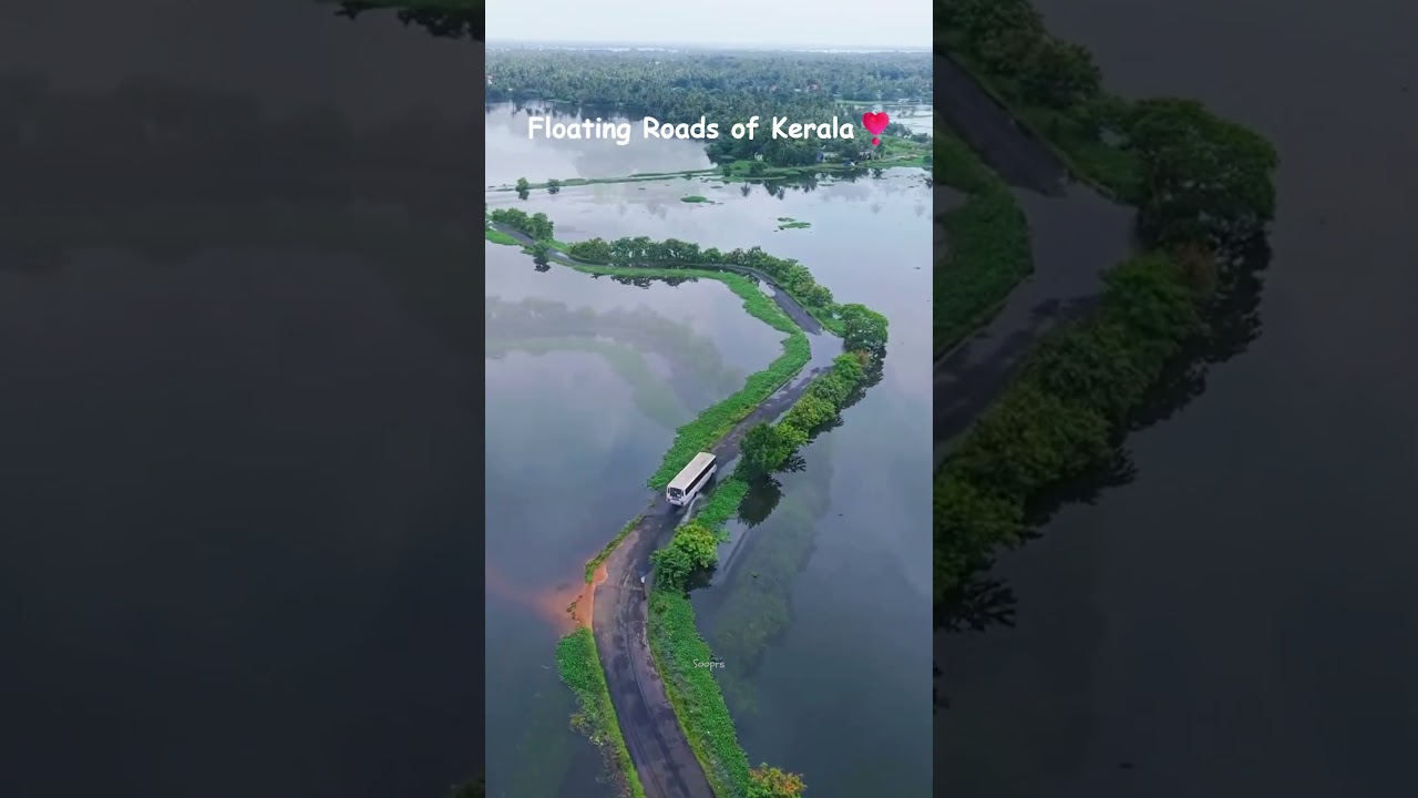 Kerala's Amazing Floating Roads 😍 | India's Most Beautiful Backwater Drive #kerala #shorts #travel