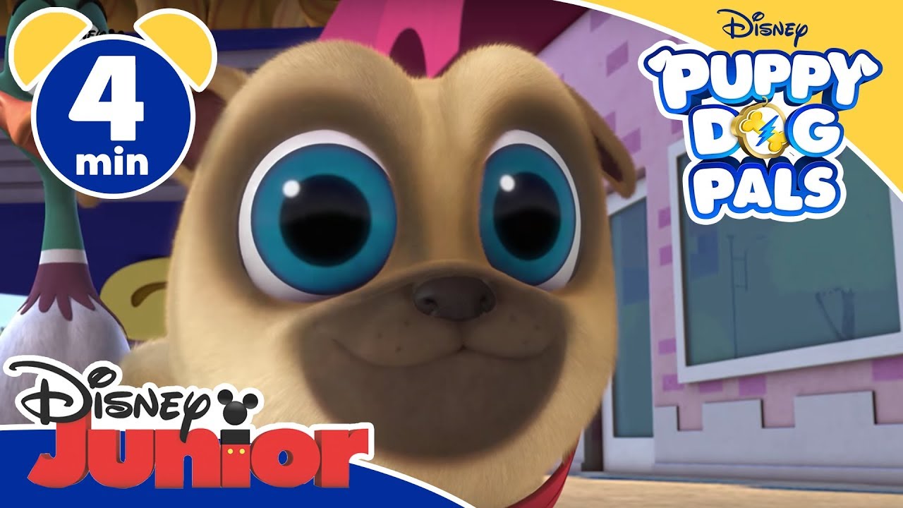 Puppy Dog Pals | La parata - DisneyJunior Italia